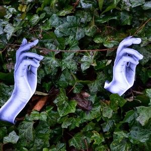 Meet your Posher, Holly